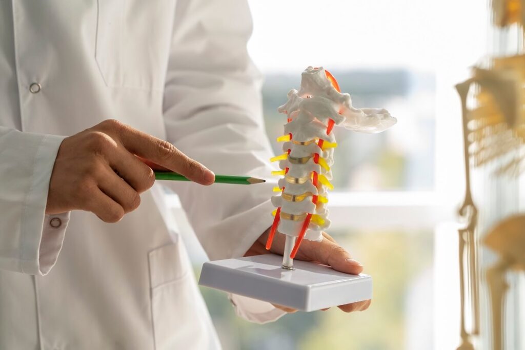 orthopedic-1